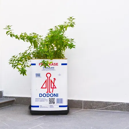 Casa Terrazzo * Paradeísion