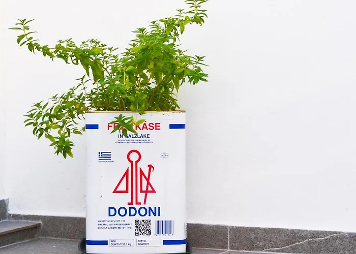 Casa Terrazzo * باراديسيون